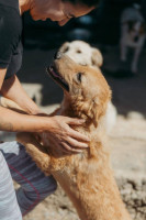 /album/20/whatsapp-image-2026-01-14-at-22-28-38-1-jpeg/